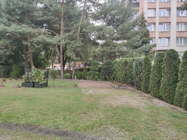 Dom na sprzedaż Katowice, Janów, Leśnego Potoku 200m2 Foto 3