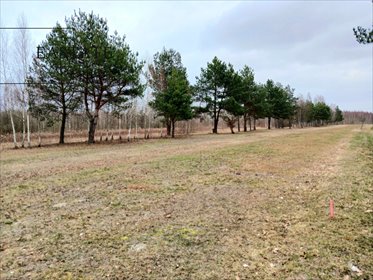 działka na sprzedaż 1200m2 działka Koryta, Lipowa