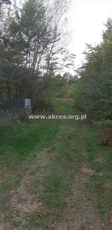działka na sprzedaż 1004m2 działka Żółwin