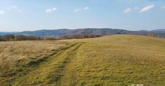 Działka inwestycyjna na sprzedaż Chrewt 29 900m2 Foto 4