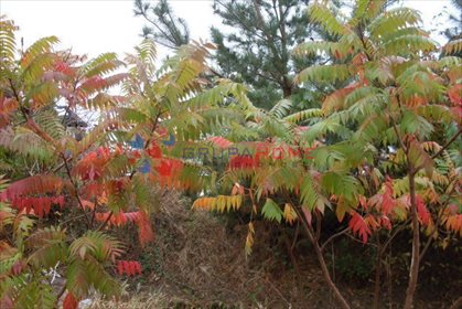 działka na sprzedaż 10492m2 działka Warszawa, Włochy