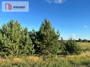 działka na sprzedaż 1000m2 działka Szatarpy