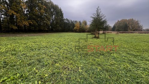 działka na sprzedaż 1500m2 działka Żaby