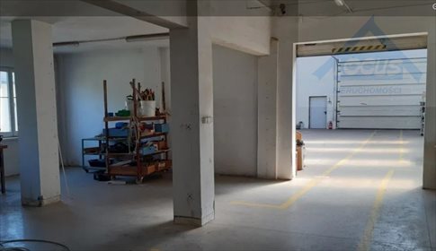 Magazyn na sprzedaż Milanówek 1 513m2 Foto 4
