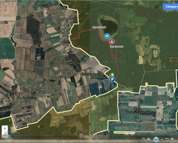 Do sprzedania działka 1,21ha z lasem i dostępem do drogi działka Wola Wereszczyńska