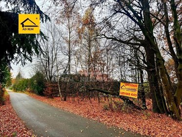 Działka 2,2 ha z dostępem do mediów i pięknymi widokami działka Konopnica, Konopnica