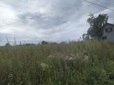 Działka budowlana na sprzedaż Pokrzywnica, Polna 2 980m2 Foto 3