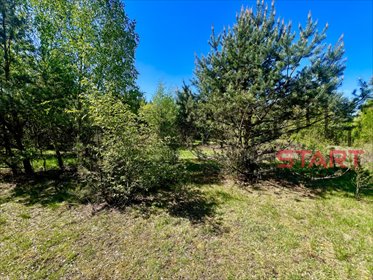 Działka 1100 m² w Budy-Grzybek - media w drodze działka Budy-Grzybek