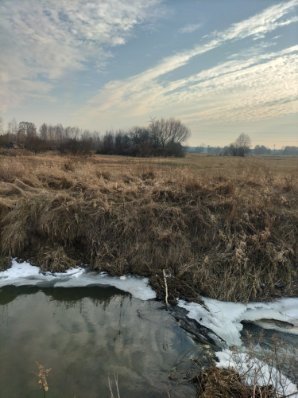 działka na sprzedaż 9200m2 działka Poświętne, Wola Ręczajska