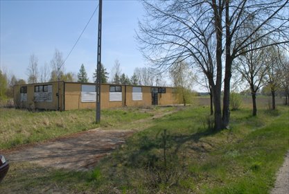 działka na sprzedaż 11100m2 działka Stare Rybitwy, Stare Rybitwy