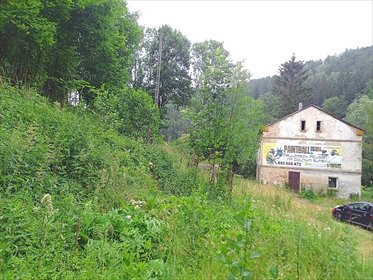 Dom do remontu z dużą działką - potencjał inwestycyjny dom Walim