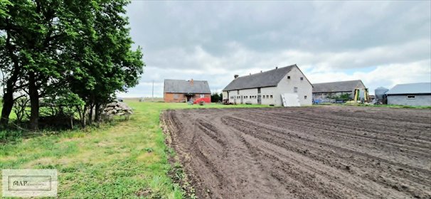 Do sprzedania gospodarstwo rolne 57 000 m² z budynkami i potencjałem działka Jabłków