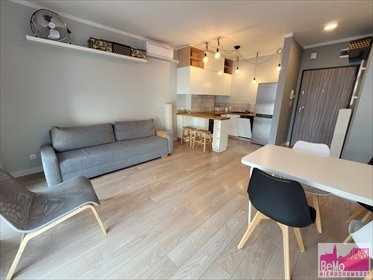 mieszkanie na wynajem 40m2 mieszkanie Włocławek, Centrum