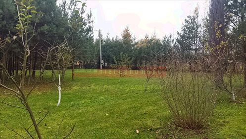 Działka inna na sprzedaż Rożnów, Rożnów 14 079m2 Foto 3