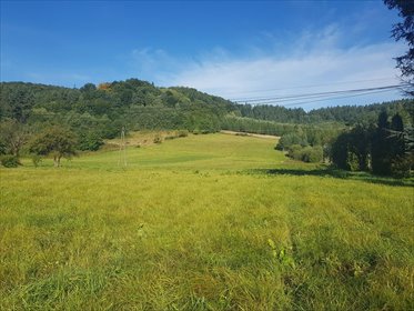 działka na sprzedaż 6000m2 działka Nowosiółki