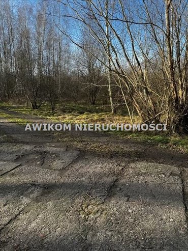 Działka rolna 6900 m² z możliwością podziału w Jaktorowie działka Jaktorów, Stare Budy