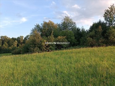 działka na sprzedaż 12000m2 działka Łazany