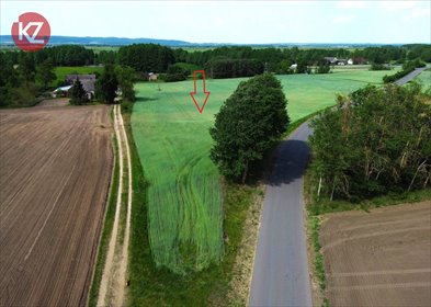 Działka 7,75 ha z stawem w Dolinie Noteci – Lipia Góra działka Lipia Góra