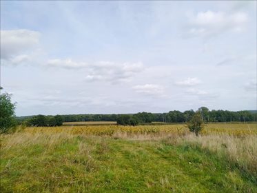 Działka budowlana na sprzedaż Osolin, Oborniki Śląskie 2 718m2 Foto 3