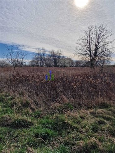 działka na sprzedaż 1000m2 działka Jeszkowice