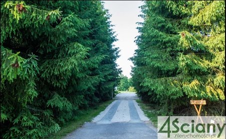 działka na sprzedaż 6000m2 działka Pieńki Zarębskie