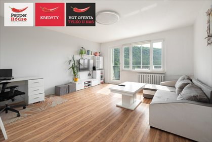Mieszkanie na ostatnim piętrze z panoramicznym widokiem mieszkanie Gdynia, Cisowa, Owsiana