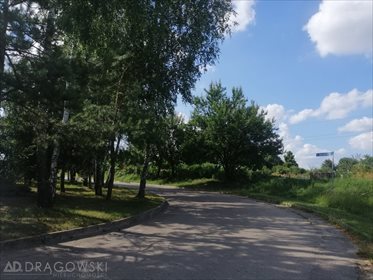Działka budowlana na sprzedaż Ryki 8 707m2 Foto 1