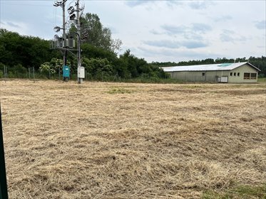 Działka inwestycyjna 8 019 m² w Wieliszewie (MPZP) z mediami działka Wieliszew, Baczyńskiego