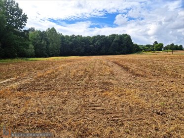 działka na sprzedaż 22600m2 działka Władysław