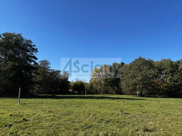 Sprzedam działkę 2133 m² z mediami i MPZP w Grodzisku działka Grodzisk Mazowiecki