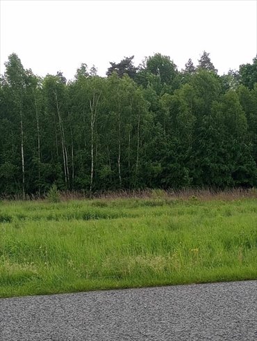 działka na sprzedaż 4720m2 działka Grodzisko Dolne