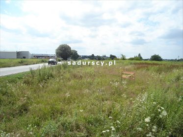 Działka inwestycyjna na sprzedaż Ochmanów 6 800m2 Foto 3
