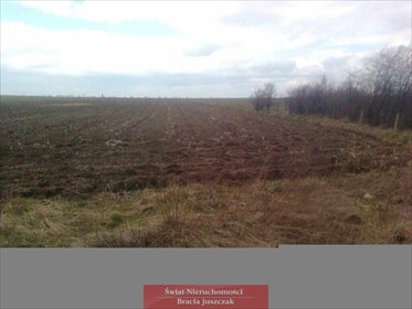 Działka 3000 m² pod zabudowę jednorodzinną, media w drodze działka Osiek