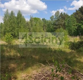 działka na sprzedaż 2000m2 działka Strzeniówka