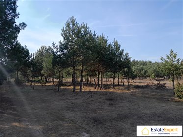 działka na sprzedaż 8400m2 działka Niwy, Niwy, Niwki Daleszyckie