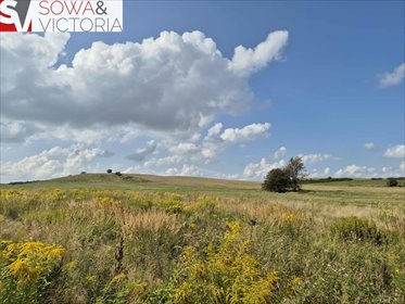 działka na sprzedaż 4000m2 działka Struga