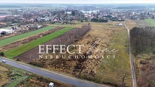 Zapraszam do obejrzenia działki 5500 m² w Lubięcinie działka Lubięcin