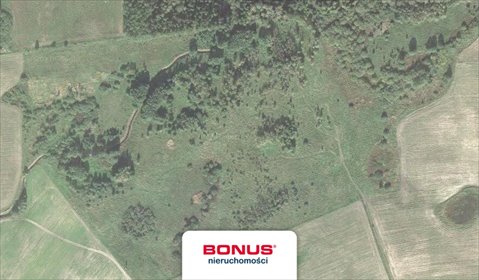 Działka rolna na sprzedaż Gradki 141 400m2 Foto 2