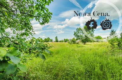 działka na sprzedaż 1800m2 działka Wójtowa