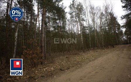 Polecam działkę inwestycyjną 2556 m² w Wieliszewie działka Wieliszew, Leśna
