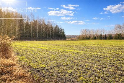 działka na sprzedaż 3004m2 działka Harsz