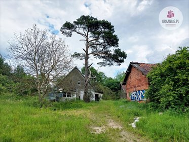 działka na sprzedaż 6000m2 działka Naterki, ul. Golfowa