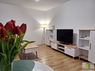 mieszkanie na wynajem 48m2 mieszkanie Wrocław