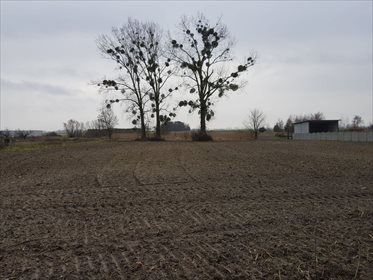 Działka siedliskowa na sprzedaż Uścikowo 22 428m2 Foto 1