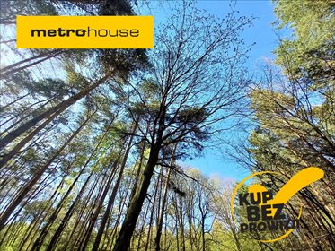 działka na sprzedaż 1595m2 działka Białe Błoto, Dobroszyce