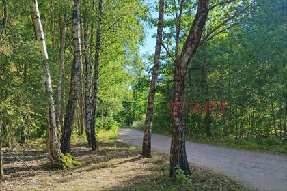 działka na sprzedaż 14100m2 działka Marków-Świnice