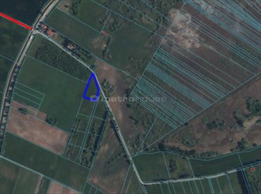 działka na sprzedaż 3000m2 działka Rajgród