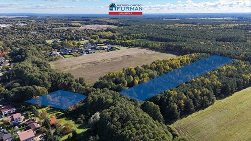 Działka rolna 1,27 ha w Trzciance z stawem i drzewami działka Trzcianka