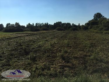 Działka rolna na sprzedaż Suchy Grunt 11 600m2 Foto 5