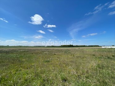 działka na sprzedaż 1300m2 działka Strzałków